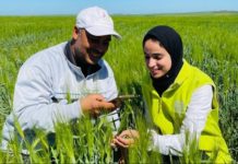 OCP launches mobile app to boost agricultural ecosystem in Morocco OCP launches mobile app to boost agricultural ecosystem in Morocco
