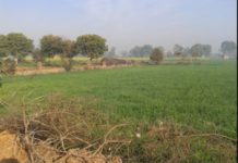 Tanzania allocates land for youth farming pilot program Tanzania allocates land for youth farming pilot program