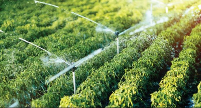 CDA, Kenya expands irrigation schemes to enhance food security