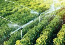 CDA, Kenya expands irrigation schemes to enhance food security CDA, Kenya expands irrigation schemes to enhance food security