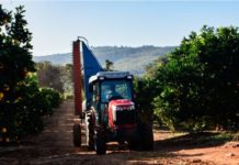 Succession planning in land reform: Vumelana urges youth to participate