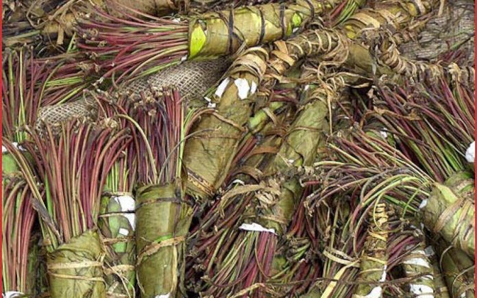 Kenya to restart khat exports to Somalia after two years