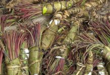 Kenya to restart khat exports to Somalia after two years Kenya to restart khat exports to Somalia after two years