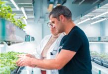 Kimitec’s MAAVi Innovation Center Announces Agreement with Bayer