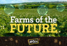 Farms of the Future a Blueprint for South African Regenerative Agriculture