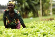 UPL publishes inaugural ‘Africa sustainability report ‘ showcasing commitment to the sustainable transformation of Africa’s food systems