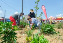 Five ways in which Vodacom is enabling environmentally friendly customer behaviour