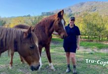 Saai exposes shocking decline in AHS vaccine sales