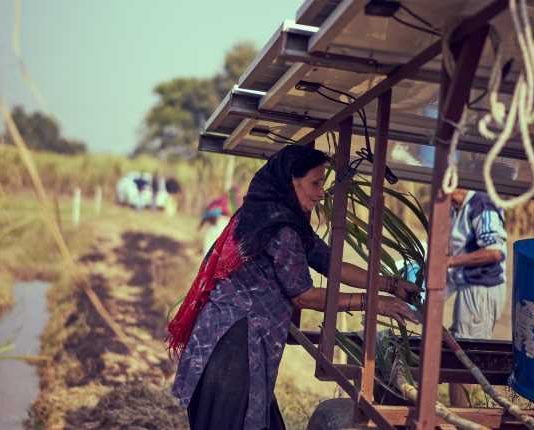 How Solar Power Is Transforming African Farms