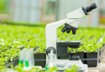 Tanzania to open agriculture colleges in major universities to groom experts Tanzania to open agriculture colleges in major universities to groom experts