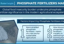 Phosphate Fertilizers Market to Witness Growth Acceleration During 2022 – 2028