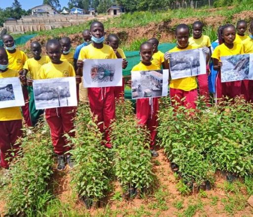 tree planting kenya 2
