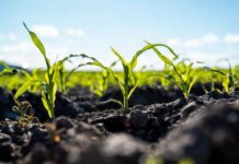 African Development Fund approves additional $5.6 million grant funding to bolster food security and resilience