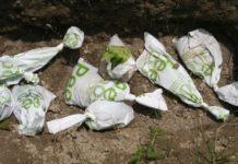 OCP Africa to boost fertilizer production in Nigeria OCP Africa to boost fertilizer production in Nigeria