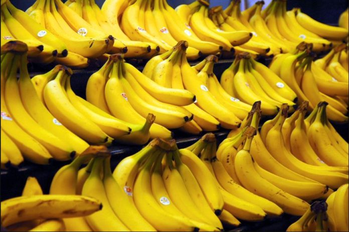Banana producers in Cameroon, Ghana, Ivory Coast seek govt’s rescue