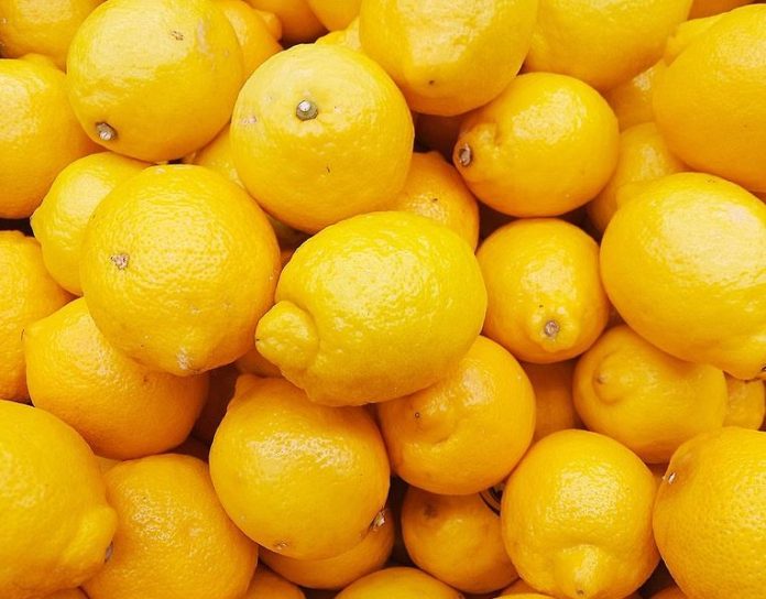 Zimbabwe given green light to export citrus to China