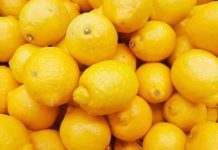 The Economic Transformation of Black Citrus Growers Zimbabwe given green light to export citrus to China