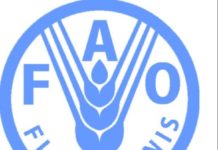 FAO-ITOCA regional event: North and West African countries share good practices to promote responsible investment in agriculture FAO-ITOCA regional event: North and West African countries share good practices to promote responsible investment in agriculture