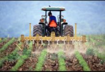 Niger farmers to benefit N78.4m wet season inputs Niger farmers to benefit N78.4m wet season inputs