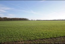 Kenya’s EACC seeks return of 400 acres to agriculture research agency Portugal to recruit Moroccan workers for agriculture