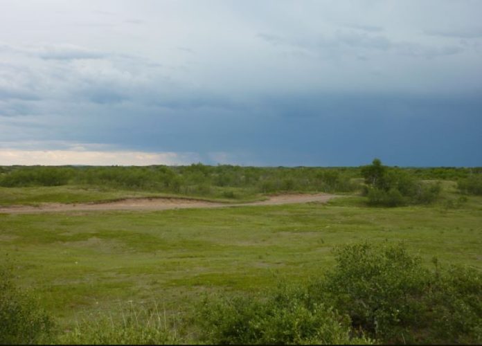 Kenya unveils strategic plan for grasslands and rangelands