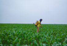 Nestle Nigeria trains youths on agri-entrepreneurship Nestle Nigeria trains youths on Agri-entrepreneurship