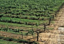 Morocco, AfDB ink deals to boost agriculture Morocco, AfDB ink deals to boost agriculture and social protection