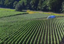 Ghana to launch five year strategy plan for sustainable tree crops industry Ghana to launch five year strategy plan for sustainable tree crops industry