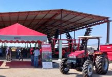 Case IH coffee harvesters as game-changer for Angolan growers