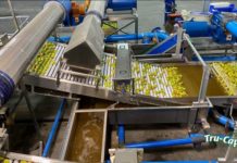 Ceres Fruit Growers adds new sorting facility increasing capacity