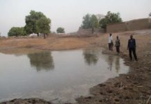 Fish Farming in Mali – Part of the Long-Term Solution to Militancy and Instability