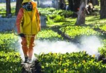 Agricultural Fumigants Market to Reach a Valuation of US$ 1.4 Bn by 2032