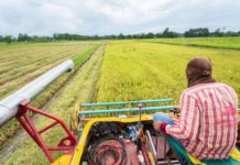 AfDB Board Approves $134 Million Loan to Boost Local Food Production