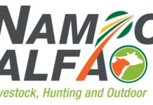 Grain SA and ALFA collaborate for an Expo like no other