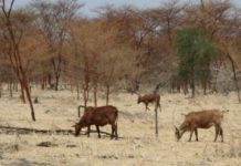 UNEP identifies five threats to the water that sustains farms