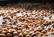 Kral Incir produces high quality dried figs with TOMRA Food sorting machines