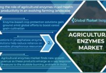 Agricultural Enzymes Market 2022 Analysis, Size, Share, and Forecast 2028