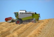 BKT tires, resistant also against stubble