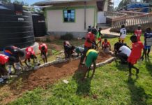 Power of Food Drives Partnership between Hawaiian Nonprofit and Kenya