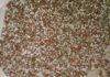 New Malawi fertiliser plant targets import dependence with 30,000MT monthly capacity