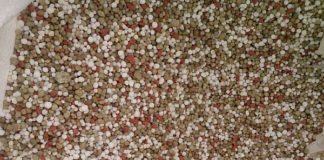 New Malawi fertiliser plant targets import dependence with 30,000MT monthly capacity