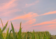 Bayer Showcases Leadership in Breakthrough Innovations and Sustainable, Tailored Solutions to Meet Global Challenges in Agriculture