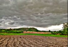 Malawi launches Agribusiness Deal Room Malawi launches Agribusiness Deal Room