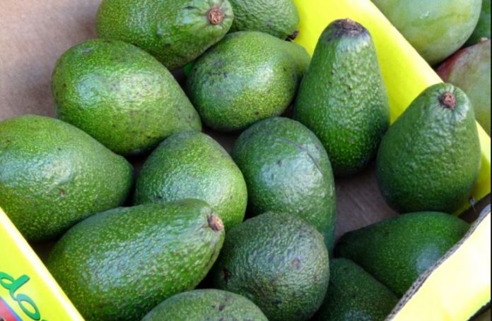 Kenya’s horticulture exports fall Sh35bn on poor avocado fruit, lower volumes