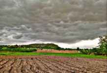 FRA receives requests for agricultural, climate change investment funds in Egypt FRA receives requests for agricultural, climate change investment funds in Egypt