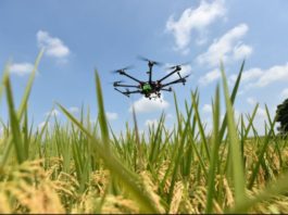 Africa’s farming shifts as spraying drones enable precision, save labour, and protect crops sustainably Zimbabwe to buy agriculture drones