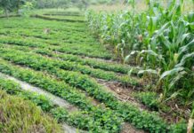 12th edition of Pollutec Morocco opens in Casablanca on 14 September 2022 12th edition of Pollutec Morocco opens in Casablanca on 14 September 2022