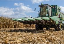 Niger State to partner with experts on agriculture development Niger State to partner with experts on agriculture development