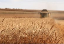 Actionaid partners UENR on sustainable agriculture Actionaid partners UENR on sustainable agriculture