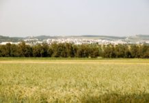 Zimbabwe allocates $100,7bn into agriculture sector Zimbabwe allocates $100,7bn into agriculture sector